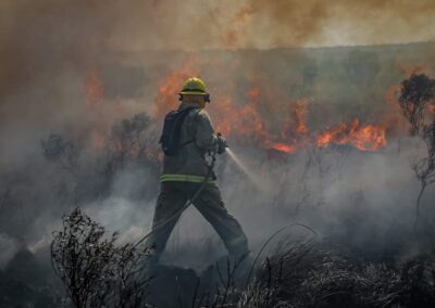 An Angleton Volunteer Firefighter battles a fire raging among brush and trees.